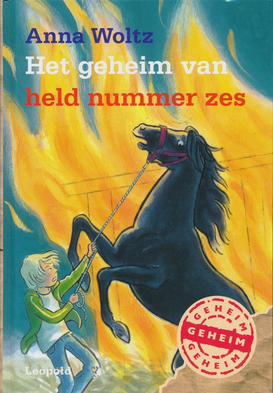 Het geheim van held nummer zes - Anna Woltz