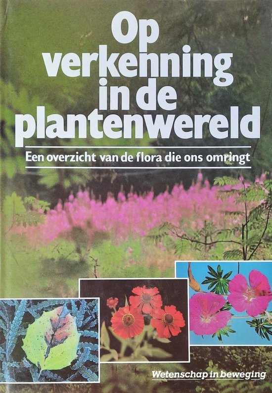 Op verkenning in de plantenwereld - Ruth Binney
