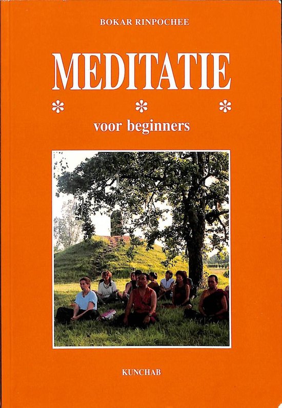 Meditatie - Rinpochee Bokar, Boeddhisme en het westen