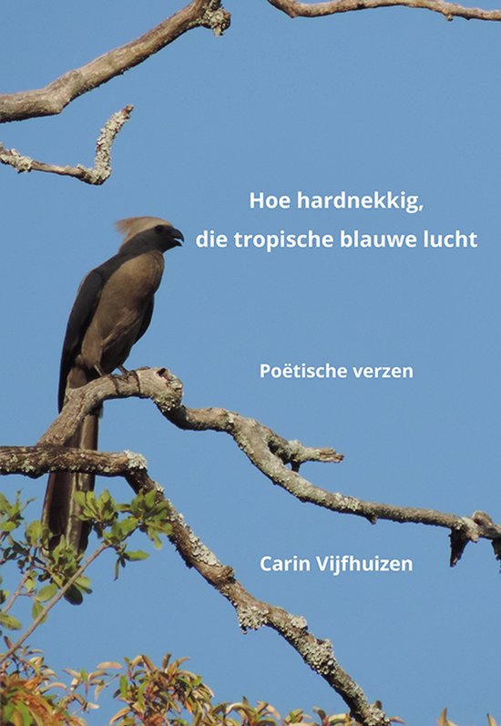 Hoe hardnekkig, die tropische blauwe lucht - Carin Vijfhuizen