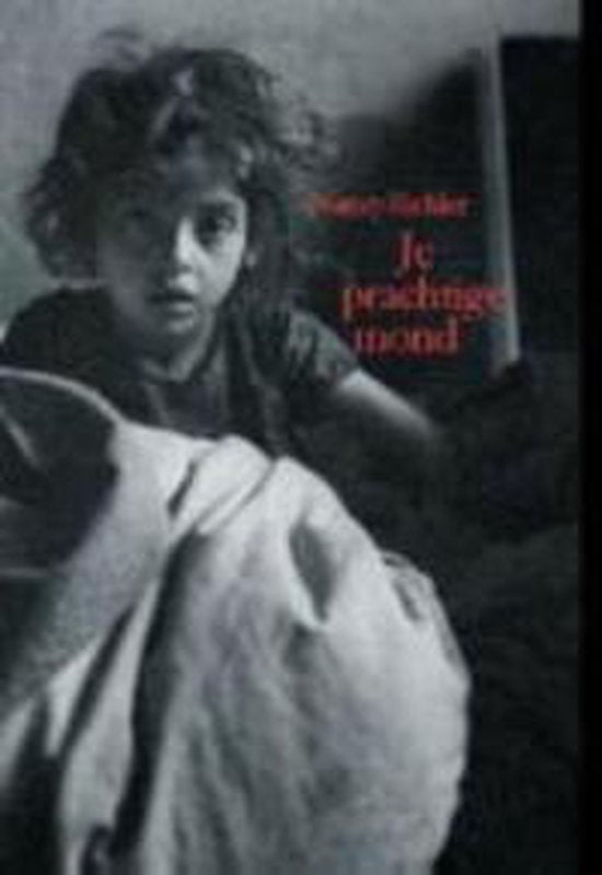 Je Prachtige Mond - N. Richler
