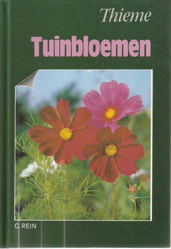 TUINBLOEMEN - G. Rein