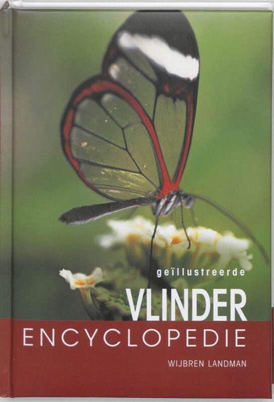 Vlinder encyclopedie - N. Vermeulen