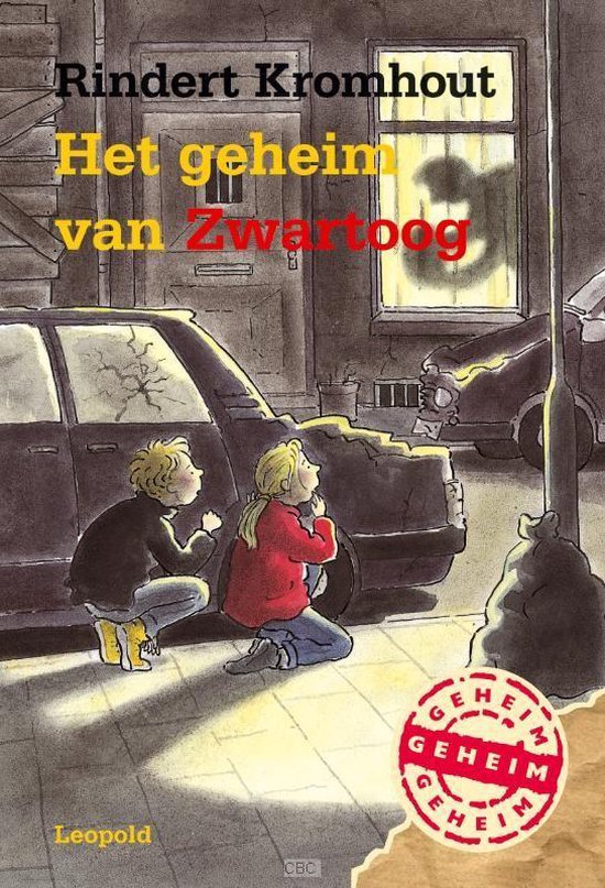 Het geheim van Zwartoog - Rindert Kromhout