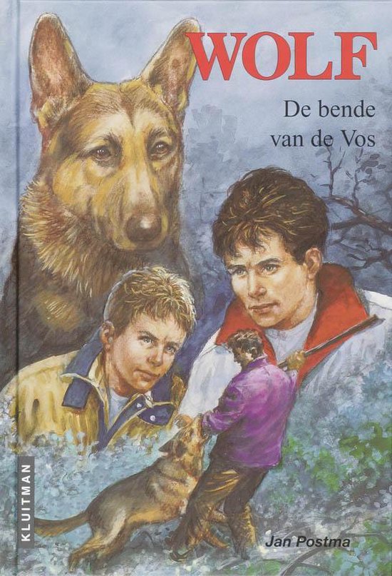 De Bende Van De Vos - Jan Postma