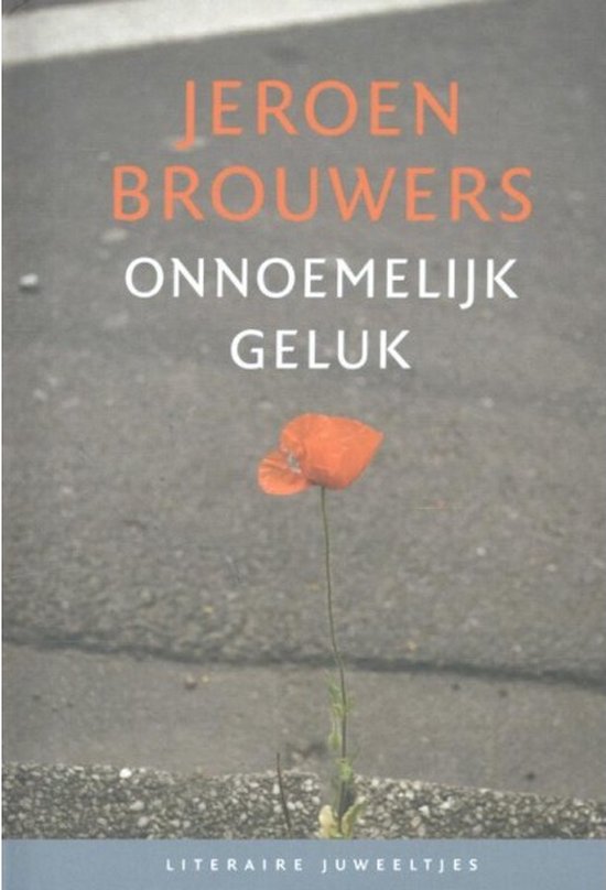 Literaire Juweeltjes - Onnoemelijk geluk - Jeroen Brouwers