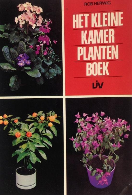 Kleine kamerplantenboek - Rob Herwig
