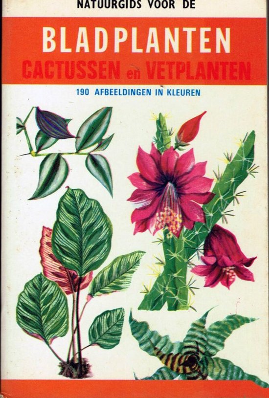 Natuurgids voor de bladplanten - Cactussen en vetplanten - Henry Rose