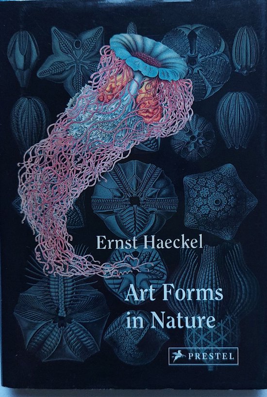 Art Forms In Nature Mini - Prestel