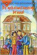 1 De geheimzinnige brand 4 van de Vuursteen - Marie - Christine Wiersma