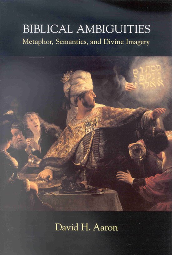 Biblical Ambiguities - David H. Aaron