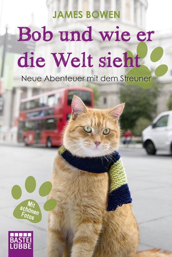 Bob und wie er die Welt sieht - James Bowen