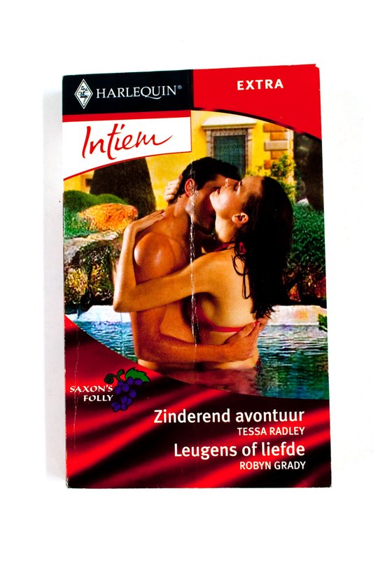 Zinderend avontuur ; Leugens of liefde - Tessa Radley, Robyn Grady