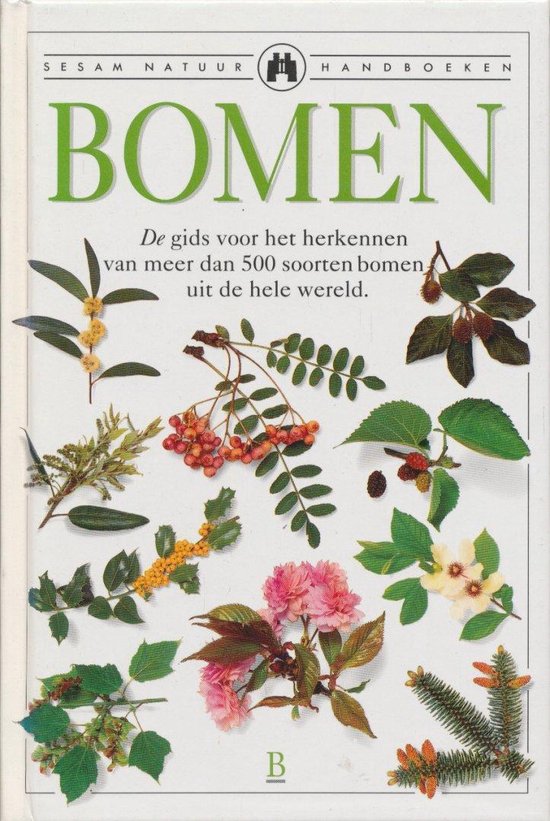 Bomen - Allen J. Coombes