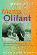 Mama olifant - Poole