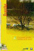 Drenthe - Onbekend