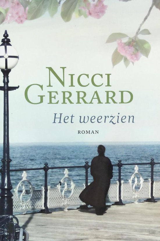 Het weerzien - Nicci Gerrard