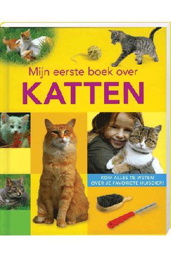 Mijn eerste boek over katten - Rainer Stehr
