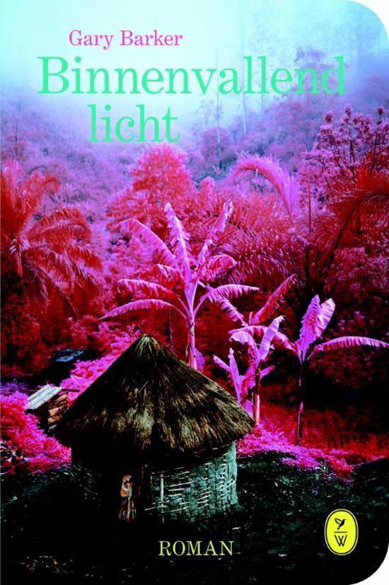 Binnenvallend licht - Gary Barker