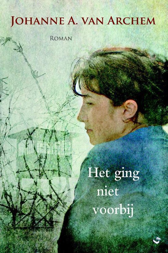 Het ging niet voorbij - Johanne A. van Archem