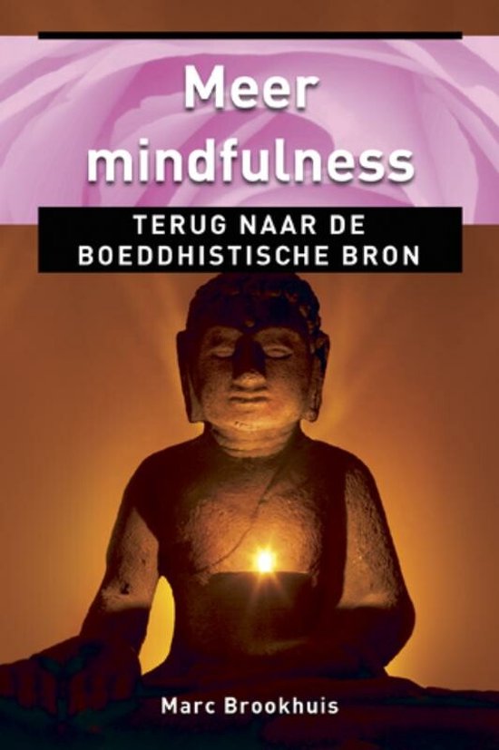Meer Mindfulness - Marc Brookhuis