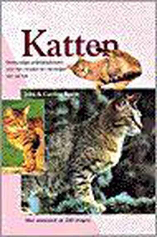 Katten - Bower
