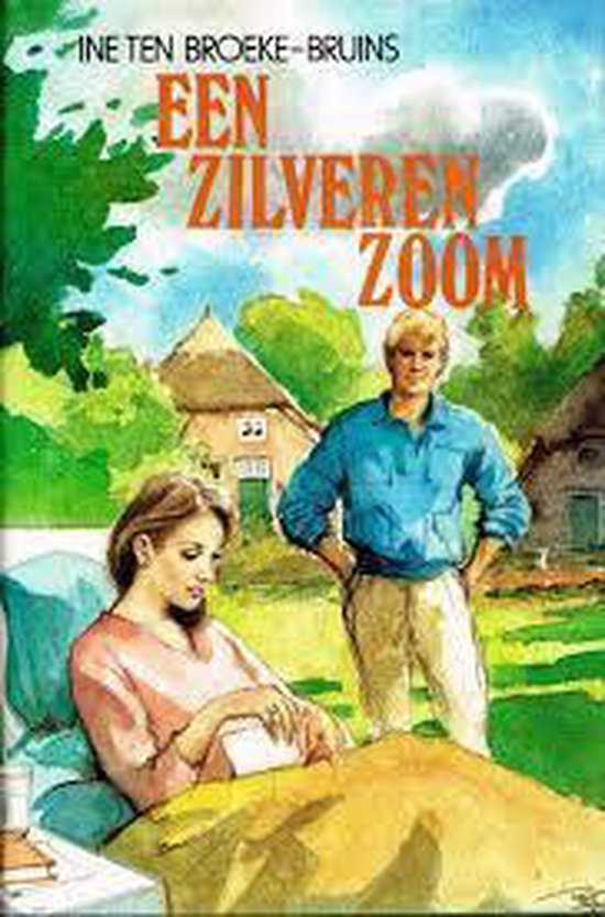 Een zilveren zoom - Ine Ten Broeke - Bruins