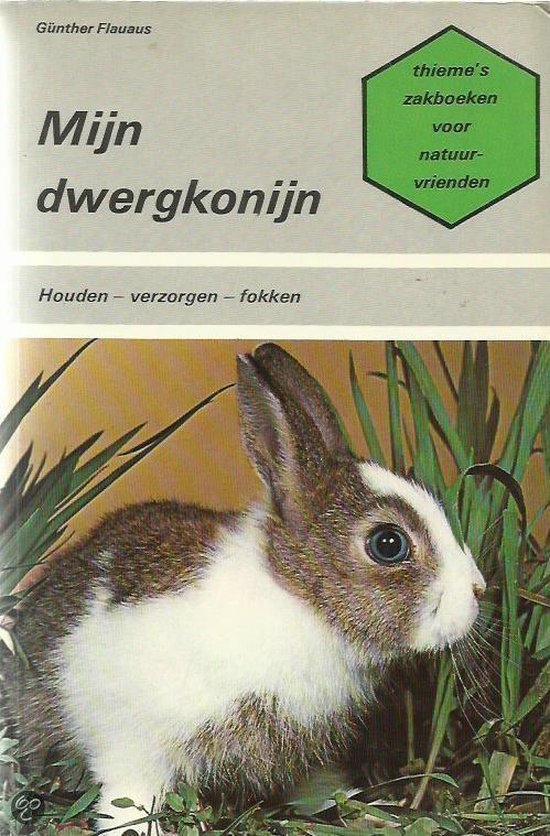Mijn dwergkonijn - Flauaus