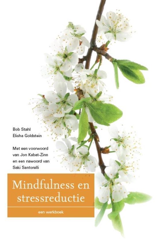 Mindfulness en stressreductie - Bob Stahl, Elisha Goldstein