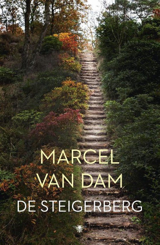 De steigerberg - Marcel van Dam